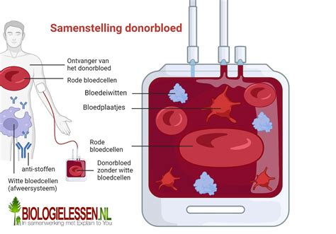 donor bloed
