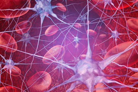 doorbloeding problemen