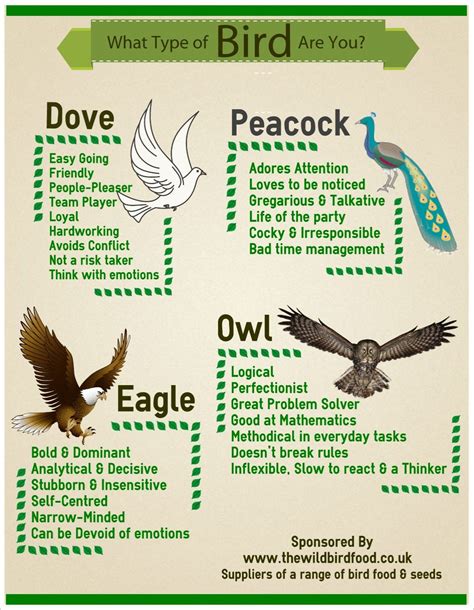Read Dope 4 Bird Personality Test Dove Owl Peacock Eagle 