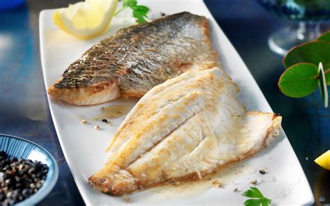 dorade filets