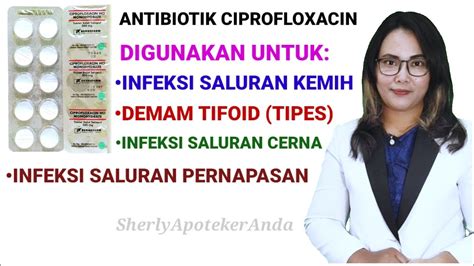 dosis amoxicillin untuk infeksi saluran kemih