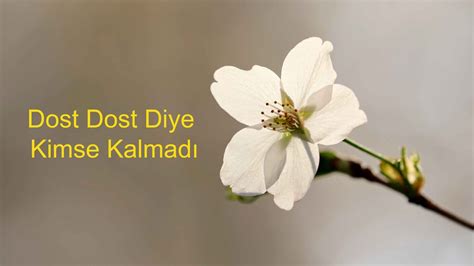 Dost Dost Diye