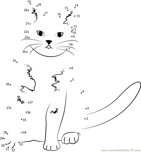 Dot To Dot Cat   Amazon Com Dot To Dot Cats - Dot To Dot Cat