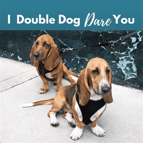 Double Dog Dare