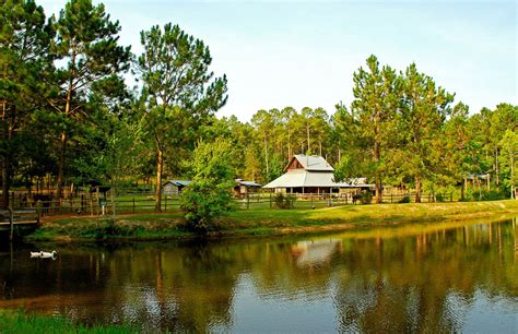 douglas georgia
