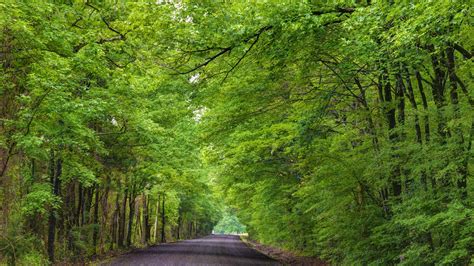 dover arkansas