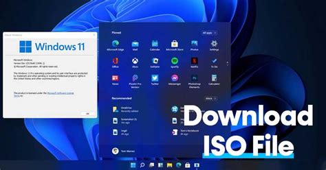down load MS OS win 11 web site 