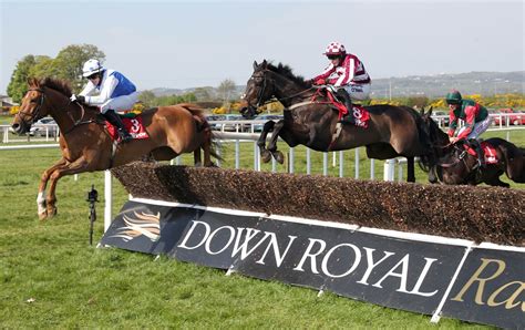 down royal horse racing