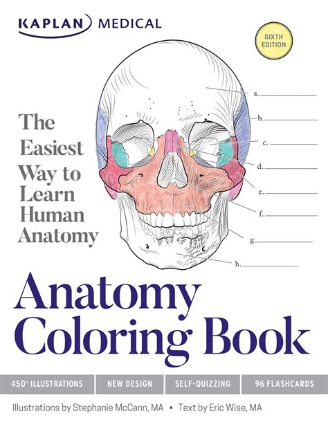 Download Anatomy Coloring Workbook Pdf Genial Ebooks Human Muscles Coloring Labeled - Human Muscles Coloring Labeled