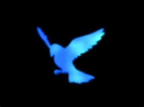 download blue bird ikimono gakari