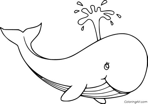 Download Blue Whale Coloring For Free Designlooter 2020 Blue Whale Coloring Page - Blue Whale Coloring Page