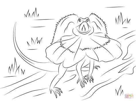 Download Frilled Neck Lizard Coloring For Free Designlooter Frilled Lizard Coloring Page - Frilled Lizard Coloring Page