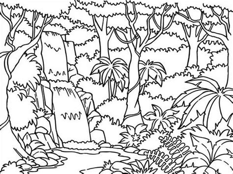 Download Jungle Coloring For Free Designlooter 2020 Jungle Picture To Colour - Jungle Picture To Colour