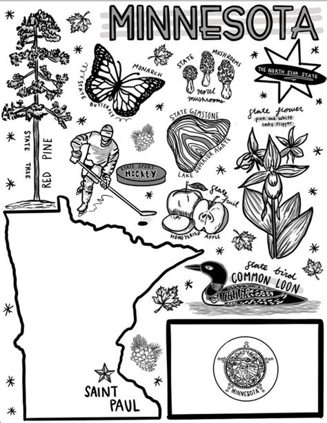 Download Minnesota Coloring For Free Designlooter 2020 Minnesota State Flower Coloring Page - Minnesota State Flower Coloring Page