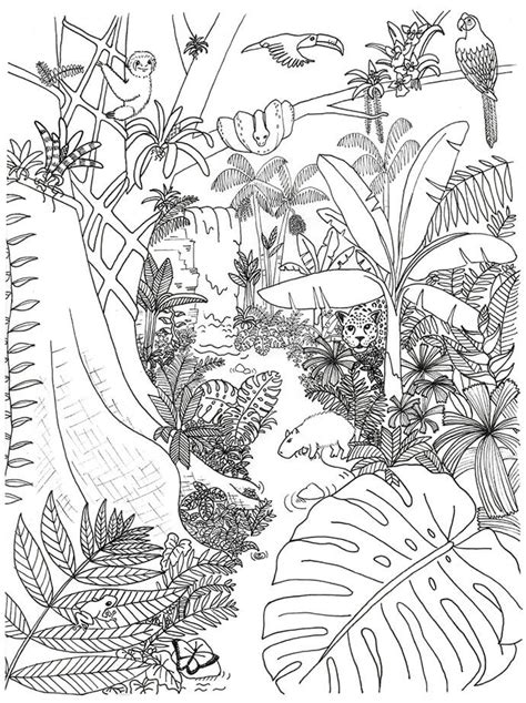 Download Pdf Rainforest Jungle Coloring Book Free Jungle Scene Coloring Pages - Jungle Scene Coloring Pages