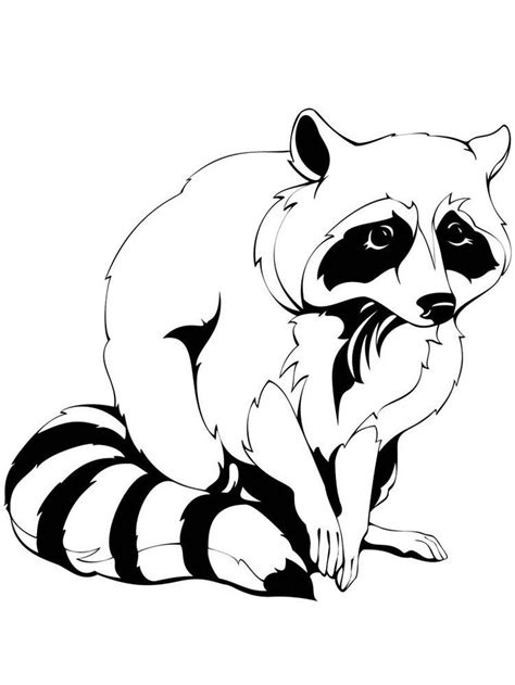 Download Raccoon Coloring For Free Designlooter 2020 Raccoon Picture To Color - Raccoon Picture To Color