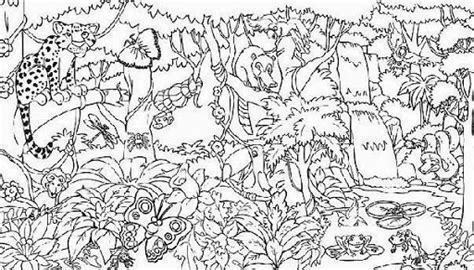 Download Rainforest Coloring For Free Designlooter 2020 Rainforest Pictures To Colour - Rainforest Pictures To Colour