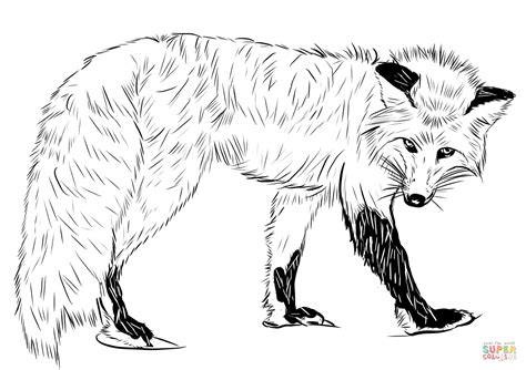Download Red Fox Coloring For Free Designlooter 2020 Red Fox Coloring Page - Red Fox Coloring Page