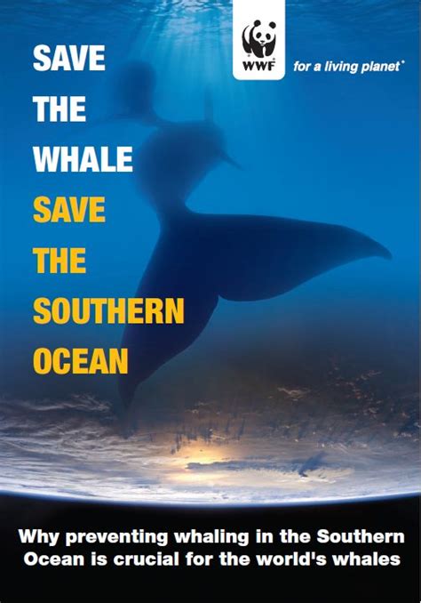 Download Save The Whales Please A Novel Save The Whale Number Bonds - Save The Whale Number Bonds