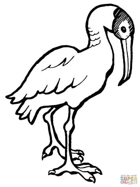 Download Scarlet Ibis Coloring For Free Designlooter 2020 Scarlet Ibis Worksheet - Scarlet Ibis Worksheet