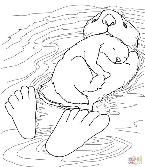Download Sea Otter Coloring For Free Designlooter 2020 Sea Otter Coloring Pages - Sea Otter Coloring Pages