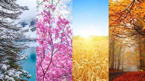 Download Season Pictures Free Photos Of Different Seasons Picture Of Different Seasons - Picture Of Different Seasons