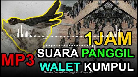download suara panggil walet sumatra