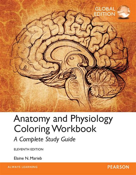 Read Download Anatomy And Physiology Coloring Workbook 11E Pdf 