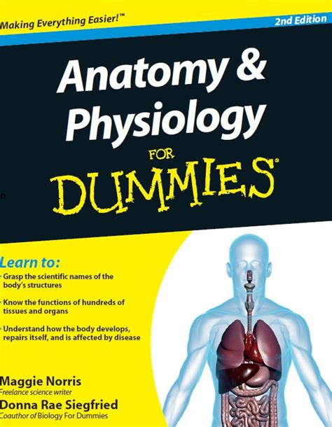 Full Download Download Anatomy And Physiology For Dummies Pdf 