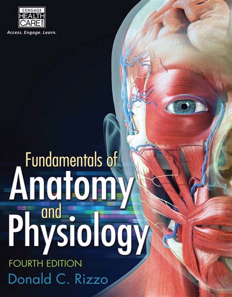 Download Download Anatomy And Physiology For Health Professionals Workbook Pdf 