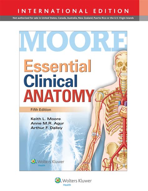 Read Download Essential Clinical Anatomy Moore 5Th Pdf 