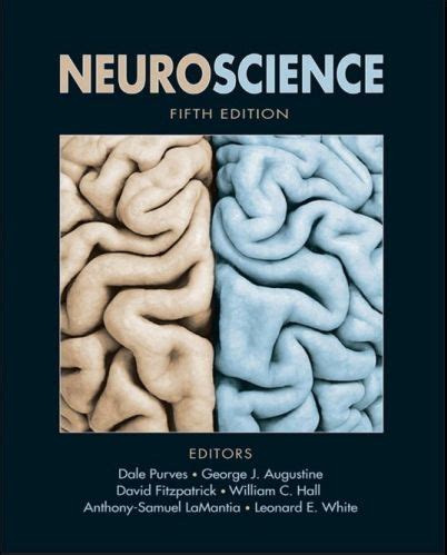 Full Download Download Neuroscience Fifth Edition Pdf 