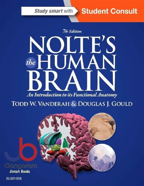Read Online Download Noltes The Human Brain An Introduction To Its Functional Anatomy 6Th Edition Pdf 