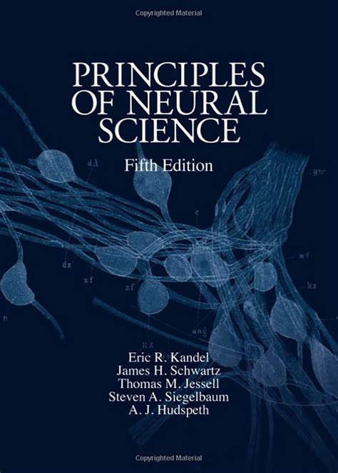 Full Download Download Principles Of Neural Science Pdf Kandel 