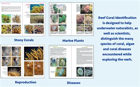 Read Download Reef Coral Identification Florida Caribbean Bahamas 3Rd Edition Reef Set Pdf 