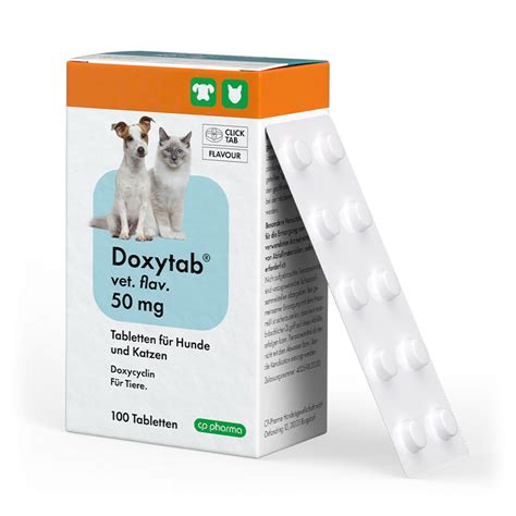 doxycyclin für katzen