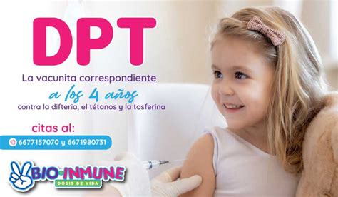 up bet: Apostas Desportivas Online Seguras e Com Proteção de Fundos para Todos os Jogadores - Foto 2