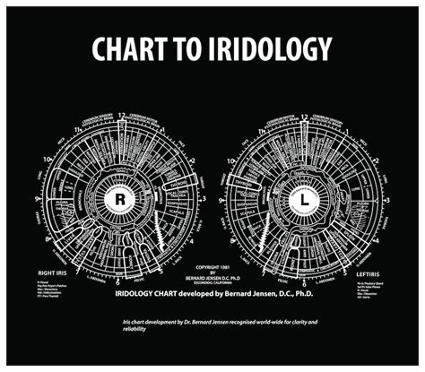 dr bernard jensen eye chart