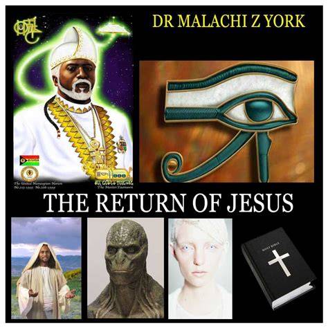 dr york books