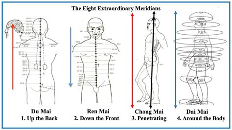 Read Dr Tan Acupuncture Points Chart And Image 