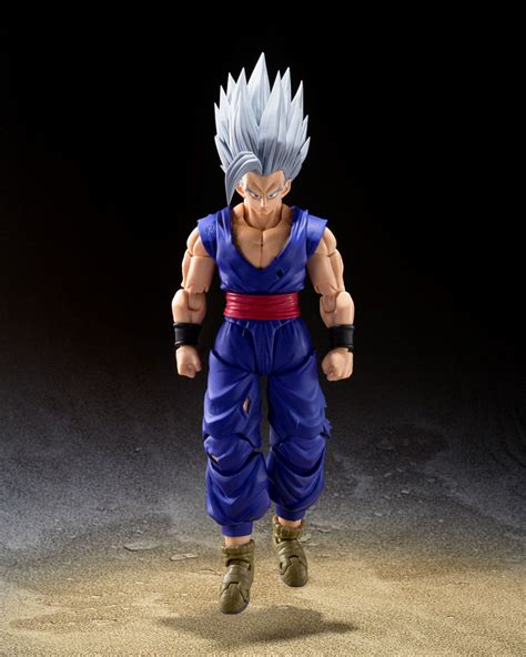 Dragon Ball H