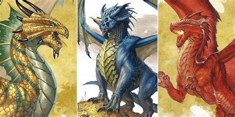 dragon colors