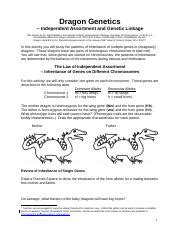 Dragon Genetics Lab Answer Key