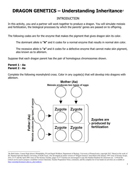 dragon genetics understanding inheritance answer key