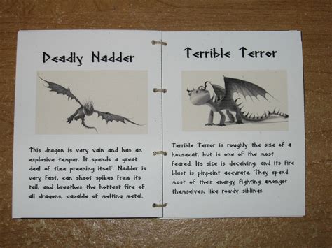 Dragon Solutions Manual