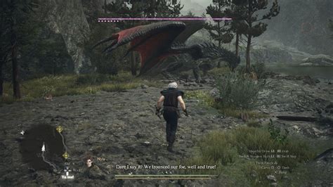 Dragons Dogma Leveling Guide