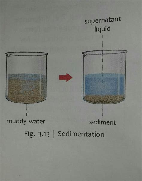 draw a well labelled diagram process of sedimentation and decantation