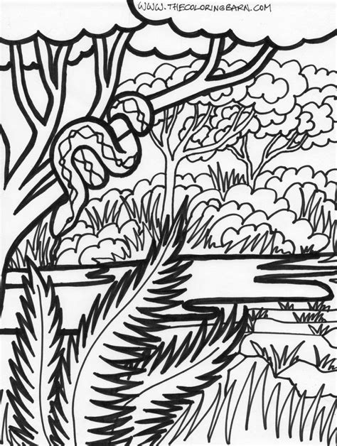 Draw And Colour The Jungle On The App Jungle Picture To Colour - Jungle Picture To Colour
