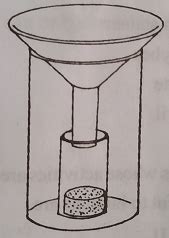 draw and label ecological instrument