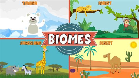 Draw Four Things From A Biome Printable Worksheets Water Biomes Worksheet - Water Biomes Worksheet